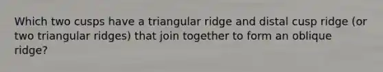 Which two cusps have a triangular ridge and distal cusp ridge (or two triangular ridges) that join together to form an oblique ridge?