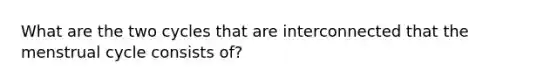 What are the two cycles that are interconnected that the menstrual cycle consists of?