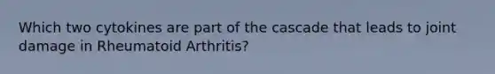 Which two cytokines are part of the cascade that leads to joint damage in Rheumatoid Arthritis?