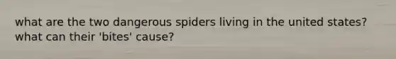 what are the two dangerous spiders living in the united states? what can their 'bites' cause?