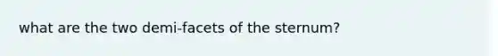 what are the two demi-facets of the sternum?