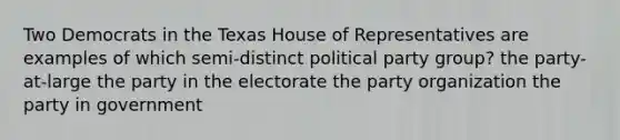 Two Democrats in the Texas House of Representatives are examples of which semi-distinct political party group? the party-at-large the party in the electorate the party organization the party in government