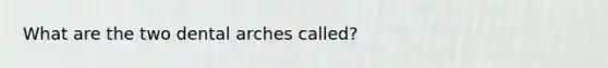 What are the two dental arches called?