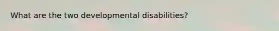 What are the two developmental disabilities?