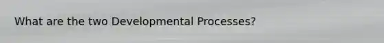 What are the two Developmental Processes?