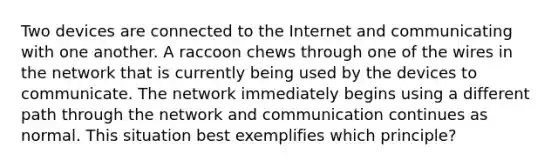 Two devices are connected to the Internet and communicating with one another. A raccoon chews through one of the wires in the network that is currently being used by the devices to communicate. The network immediately begins using a different path through the network and communication continues as normal. This situation best exemplifies which principle?