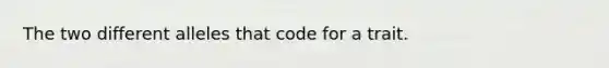 The two different alleles that code for a trait.