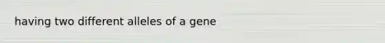 having two different alleles of a gene