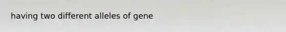 having two different alleles of gene