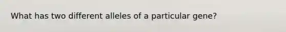 What has two different alleles of a particular gene?