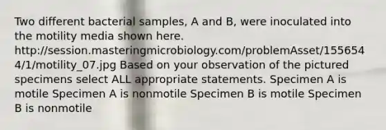 Two different bacterial samples, A and B, were inoculated into the motility media shown here. http:/session.masteringmicrobiology.com/problemAsset/1556544/1/motility_07.jpg Based on your observation of the pictured specimens select ALL appropriate statements. Specimen A is motile Specimen A is nonmotile Specimen B is motile Specimen B is nonmotile