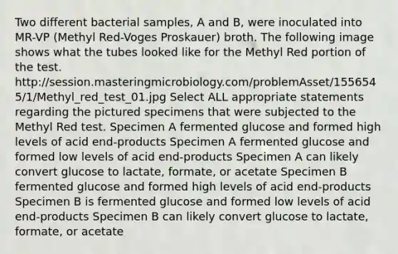 Two different bacterial samples, A and B, were inoculated into MR-VP (Methyl Red-Voges Proskauer) broth. The following image shows what the tubes looked like for the Methyl Red portion of the test. http://session.masteringmicrobiology.com/problemAsset/1556545/1/Methyl_red_test_01.jpg Select ALL appropriate statements regarding the pictured specimens that were subjected to the Methyl Red test. Specimen A fermented glucose and formed high levels of acid end-products Specimen A fermented glucose and formed low levels of acid end-products Specimen A can likely convert glucose to lactate, formate, or acetate Specimen B fermented glucose and formed high levels of acid end-products Specimen B is fermented glucose and formed low levels of acid end-products Specimen B can likely convert glucose to lactate, formate, or acetate