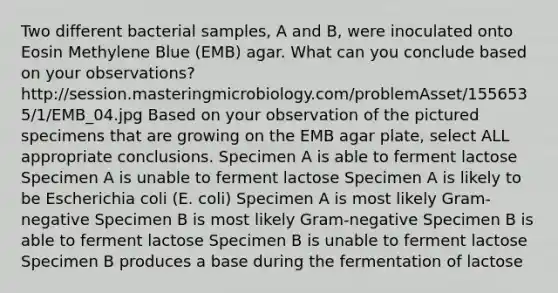 Two different bacterial samples, A and B, were inoculated onto Eosin Methylene Blue (EMB) agar. What can you conclude based on your observations? http://session.masteringmicrobiology.com/problemAsset/1556535/1/EMB_04.jpg Based on your observation of the pictured specimens that are growing on the EMB agar plate, select ALL appropriate conclusions. Specimen A is able to ferment lactose Specimen A is unable to ferment lactose Specimen A is likely to be Escherichia coli (E. coli) Specimen A is most likely Gram-negative Specimen B is most likely Gram-negative Specimen B is able to ferment lactose Specimen B is unable to ferment lactose Specimen B produces a base during the fermentation of lactose