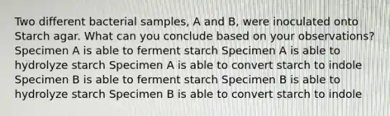 Two different bacterial samples, A and B, were inoculated onto Starch agar. What can you conclude based on your observations? Specimen A is able to ferment starch Specimen A is able to hydrolyze starch Specimen A is able to convert starch to indole Specimen B is able to ferment starch Specimen B is able to hydrolyze starch Specimen B is able to convert starch to indole