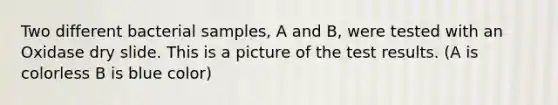 Two different bacterial samples, A and B, were tested with an Oxidase dry slide. This is a picture of the test results. (A is colorless B is blue color)