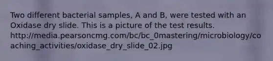 Two different bacterial samples, A and B, were tested with an Oxidase dry slide. This is a picture of the test results. http://media.pearsoncmg.com/bc/bc_0mastering/microbiology/coaching_activities/oxidase_dry_slide_02.jpg