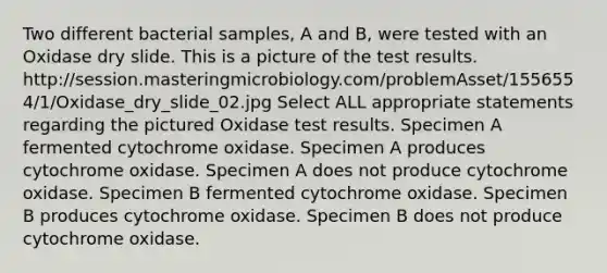 Two different bacterial samples, A and B, were tested with an Oxidase dry slide. This is a picture of the test results. http://session.masteringmicrobiology.com/problemAsset/1556554/1/Oxidase_dry_slide_02.jpg Select ALL appropriate statements regarding the pictured Oxidase test results. Specimen A fermented cytochrome oxidase. Specimen A produces cytochrome oxidase. Specimen A does not produce cytochrome oxidase. Specimen B fermented cytochrome oxidase. Specimen B produces cytochrome oxidase. Specimen B does not produce cytochrome oxidase.