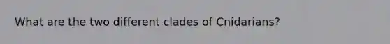 What are the two different clades of Cnidarians?