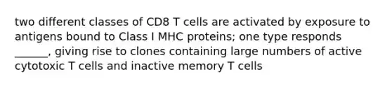 two different classes of CD8 T cells are activated by exposure to antigens bound to Class I MHC proteins; one type responds ______, giving rise to clones containing large numbers of active cytotoxic T cells and inactive memory T cells