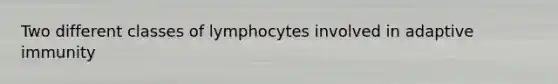 Two different classes of lymphocytes involved in adaptive immunity