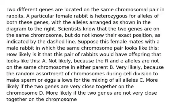 Two different genes are located on the same chromosomal pair in rabbits. A particular female rabbit is heterozygous for alleles of both these genes, with the alleles arranged as shown in the diagram to the right. Scientists know that the two genes are on the same chromosome, but do not know their exact position, as indicated by the dashed line. Suppose this female mates with a male rabbit in which the same chromosome pair looks like this: How likely is it that this pair of rabbits would have offspring that looks like this: A. Not likely, because the R and e alleles are not on the same chromosome in either parent B. Very likely, because the random assortment of chromosomes during cell division to make sperm or eggs allows for the mixing of all alleles C. More likely if the two genes are very close together on the chromosome D. More likely if the two genes are not very close together on the chromosome