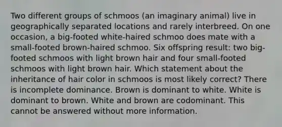 Two different groups of schmoos (an imaginary animal) live in geographically separated locations and rarely interbreed. On one occasion, a big-footed white-haired schmoo does mate with a small-footed brown-haired schmoo. Six offspring result: two big-footed schmoos with light brown hair and four small-footed schmoos with light brown hair. Which statement about the inheritance of hair color in schmoos is most likely correct? There is incomplete dominance. Brown is dominant to white. White is dominant to brown. White and brown are codominant. This cannot be answered without more information.