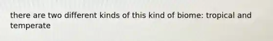 there are two different kinds of this kind of biome: tropical and temperate