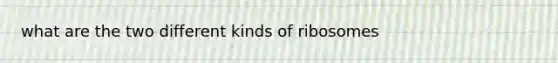 what are the two different kinds of ribosomes