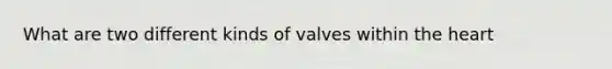 What are two different kinds of valves within the heart