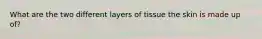 What are the two different layers of tissue the skin is made up of?