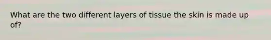 What are the two different layers of tissue the skin is made up of?