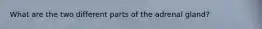 What are the two different parts of the adrenal gland?