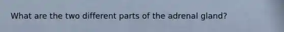 What are the two different parts of the adrenal gland?
