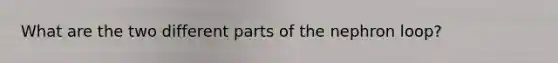 What are the two different parts of the nephron loop?