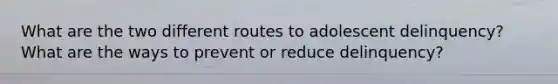 What are the two different routes to adolescent delinquency? What are the ways to prevent or reduce delinquency?