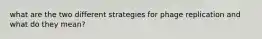 what are the two different strategies for phage replication and what do they mean?