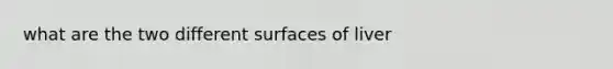 what are the two different surfaces of liver