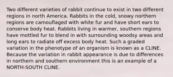 Two different varieties of rabbit continue to exist in two different regions in north America. Rabbits in the cold, snowy northern regions are camouflaged with white fur and have short ears to conserve body heat. Rabbits living in warmer, southern regions have mottled fur to blend in with surrounding woodsy areas and long ears to radiate off excess body heat. Such a graded variation in the phenotype of an organism is known as a CLINE. Because the variation in rabbit appearance is due to differences in northern and southern environment this is an example of a NORTH-SOUTH CLINE.