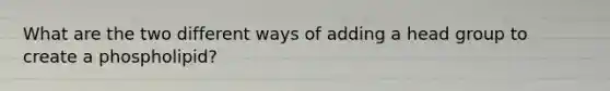 What are the two different ways of adding a head group to create a phospholipid?