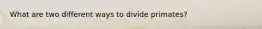 What are two different ways to divide primates?