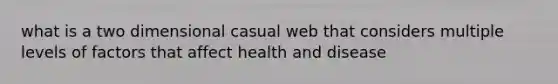 what is a two dimensional casual web that considers multiple levels of factors that affect health and disease