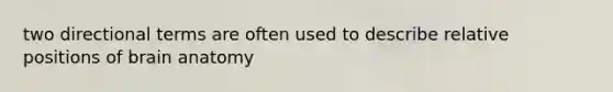 two directional terms are often used to describe relative positions of brain anatomy