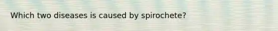 Which two diseases is caused by spirochete?