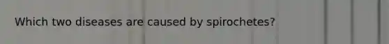 Which two diseases are caused by spirochetes?