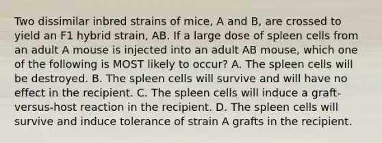 Two dissimilar inbred strains of mice, A and B, are crossed to yield an F1 hybrid strain, AB. If a large dose of spleen cells from an adult A mouse is injected into an adult AB mouse, which one of the following is MOST likely to occur? A. The spleen cells will be destroyed. B. The spleen cells will survive and will have no effect in the recipient. C. The spleen cells will induce a graft-versus-host reaction in the recipient. D. The spleen cells will survive and induce tolerance of strain A grafts in the recipient.