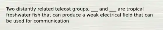 Two distantly related teleost groups, ___ and ___ are tropical freshwater fish that can produce a weak electrical field that can be used for communication