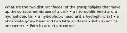 What are the two distinct "faces" of the phospholipids that make up the surface membrane of a cell? • a hydrophilic head and a hydrophobic tail • a hydrophobic head and a hydrophilic tail • a phosphate group head and two fatty acid tails • Both a) and c) are correct. • Both b) and c) are correct.