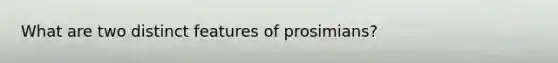 What are two distinct features of prosimians?