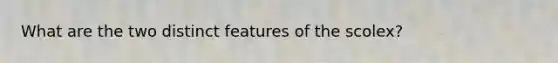 What are the two distinct features of the scolex?