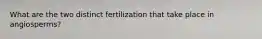 What are the two distinct fertilization that take place in angiosperms?